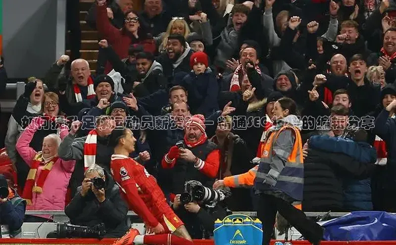 人人体育百度手机卫士如何提升足球运动员薪资？— 精通SEO技巧的编辑分享