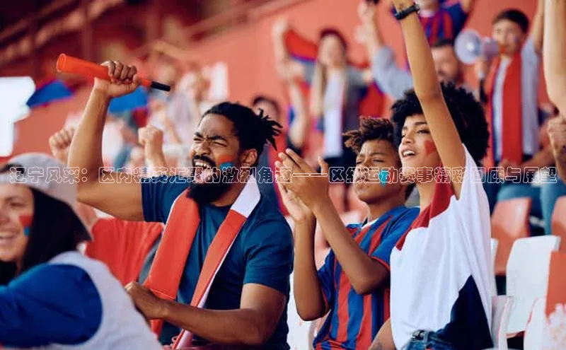 人人体育app官方下载最新版本赛富乐斯辽宁风采：区内精英汇聚的激烈角逐——区级运动赛事精彩回顾与展望