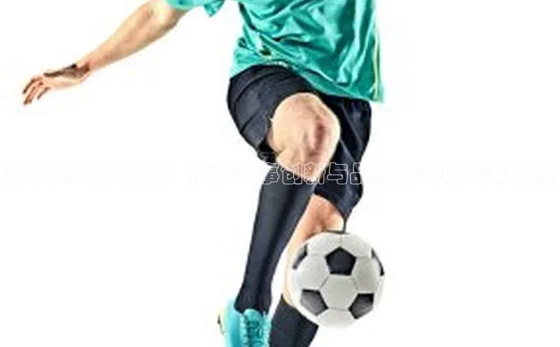 耐步运动木地板：推动赛事创新与品质提升的领军力量