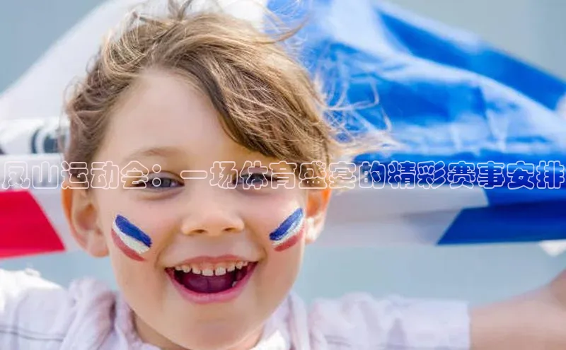 凤山运动会：一场体育盛宴的精彩赛事安排