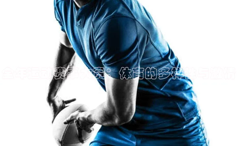 全年运动赛事大赏：体育的多样性与激情