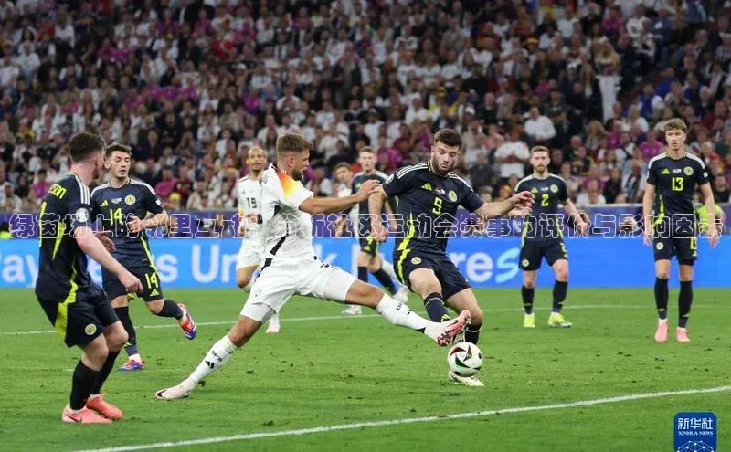 绿茵场上的邻里互动：分析社区运动会赛事的评价与影响因素