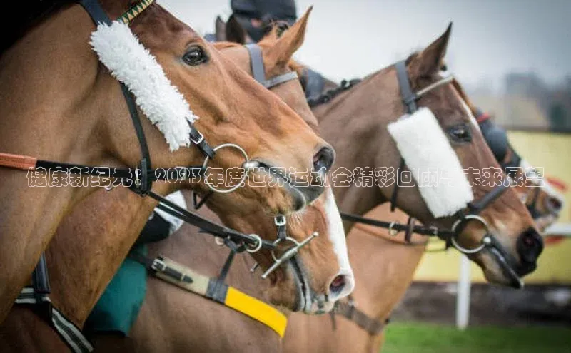 健康新纪元：2023年度世界运动会精彩回顾与未来展望