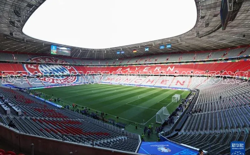 冠军之路：团体运动赛事背后的精彩故事