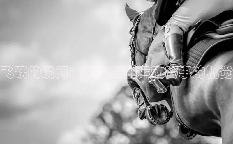 人人体育手机版