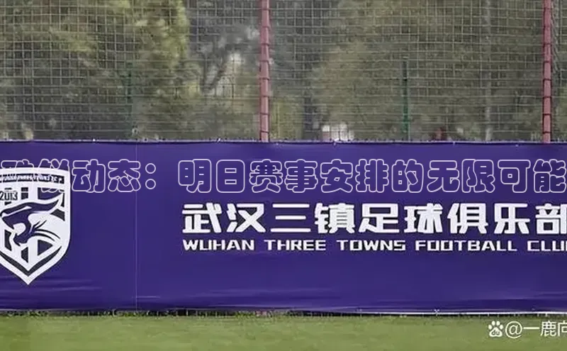 酷锐动态：明日赛事安排的无限可能